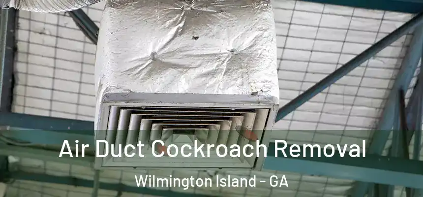  Air Duct Cockroach Removal Wilmington Island - GA
