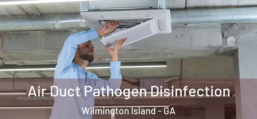  Air Duct Pathogen Disinfection Wilmington Island - GA