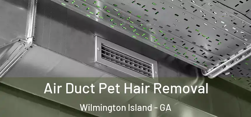  Air Duct Pet Hair Removal Wilmington Island - GA