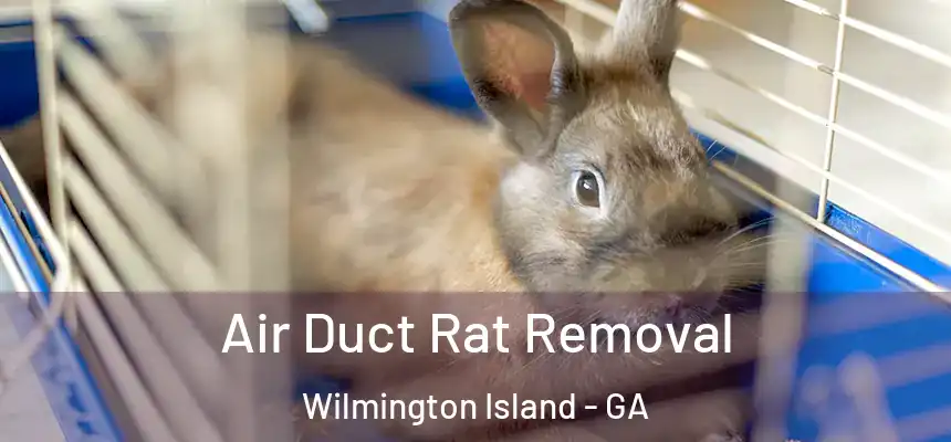  Air Duct Rat Removal Wilmington Island - GA