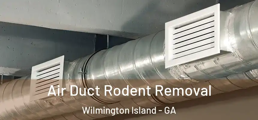  Air Duct Rodent Removal Wilmington Island - GA