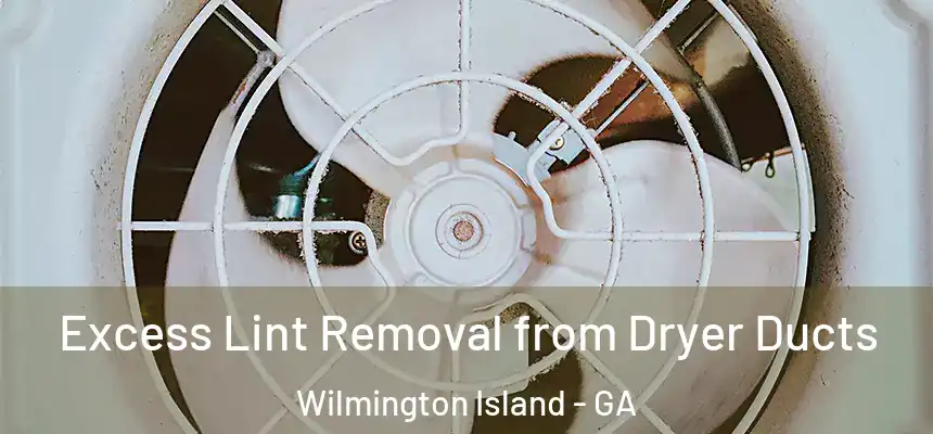  Excess Lint Removal from Dryer Ducts Wilmington Island - GA