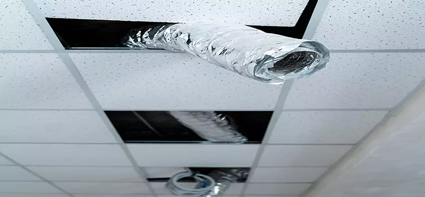 Affordable HVAC Sanitizing After Pest Removal in Wilmington Island