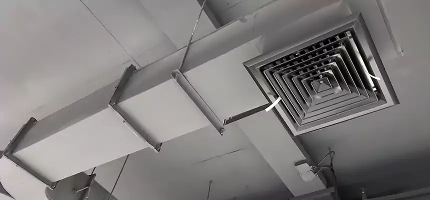 Restorative Allergy Relief Vent Cleaning – Coil, Blower & Housing Detail in Wilmington Island