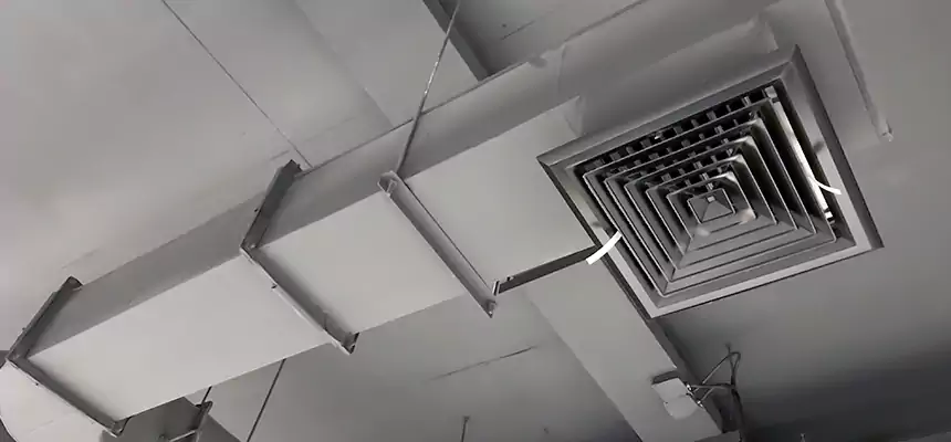 Our Pest Removal From Ducts Services in Wilmington Island, GA