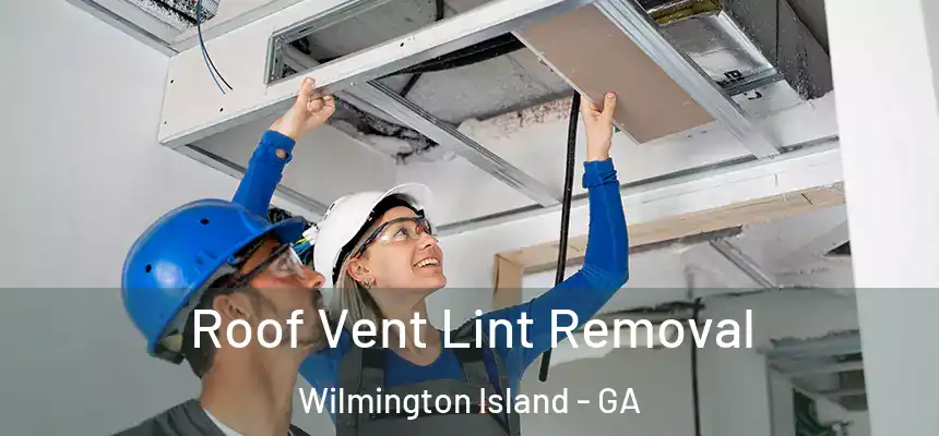  Roof Vent Lint Removal Wilmington Island - GA