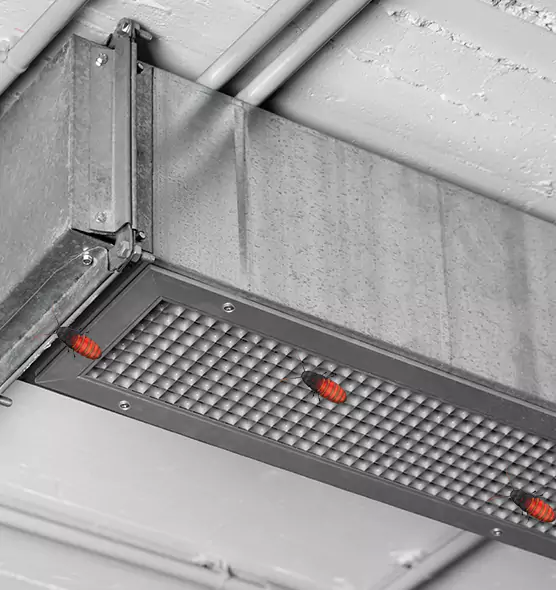 Affordable Insect Removal from Air Ducts in Wilmington Island, GA