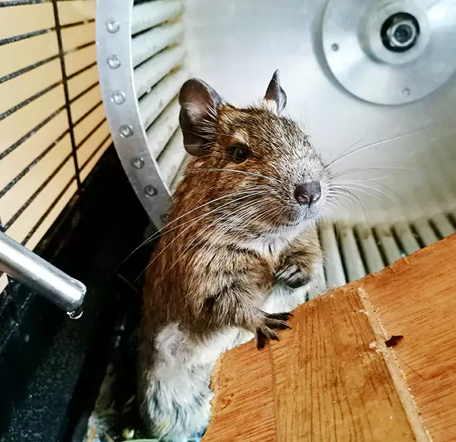 Why Homeowners & Businesses Trust Us Wilmington Island, GA