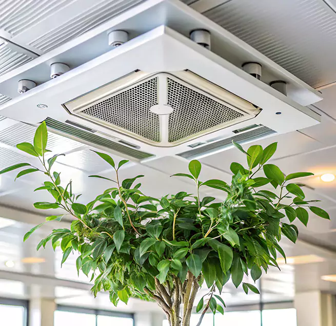 Why Homeowners & Businesses Trust Us in Wilmington Island, GA?