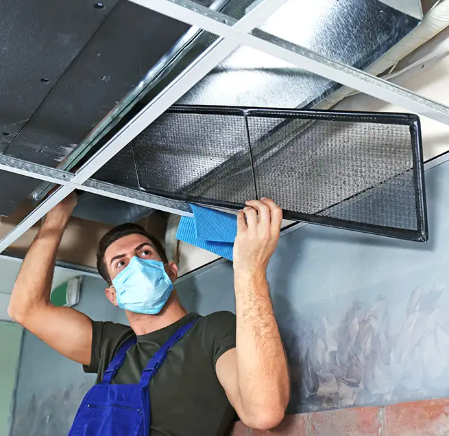 Why Homeowners & Businesses Trust Us in Wilmington Island, GA?