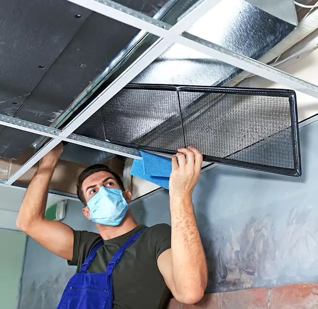  Why Homeowners Businesses Trust Us  in Wilmington Island, GA?